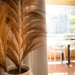 Voramar I Calpe, * Calp